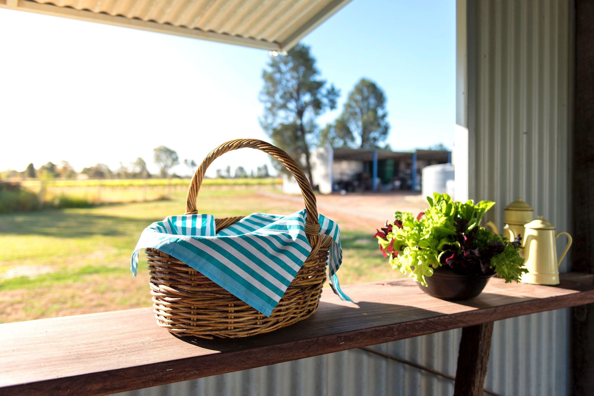 Grapevine Glamping, Dinner Hamper, Cofield Wines, Rutherglen