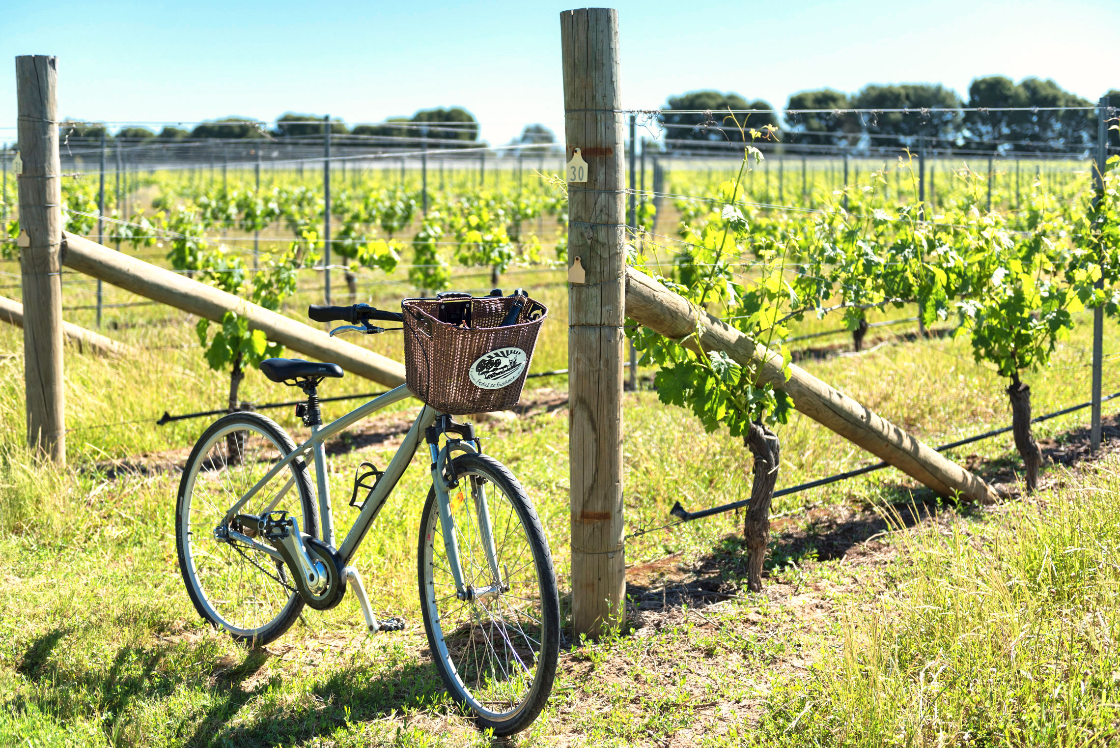 Rutherglen, Pedal to Produce, Wine Cycle