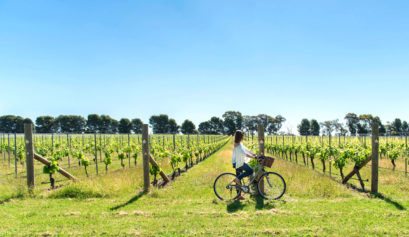 Rutherglen, Pedal to Produce, Wine Cycle