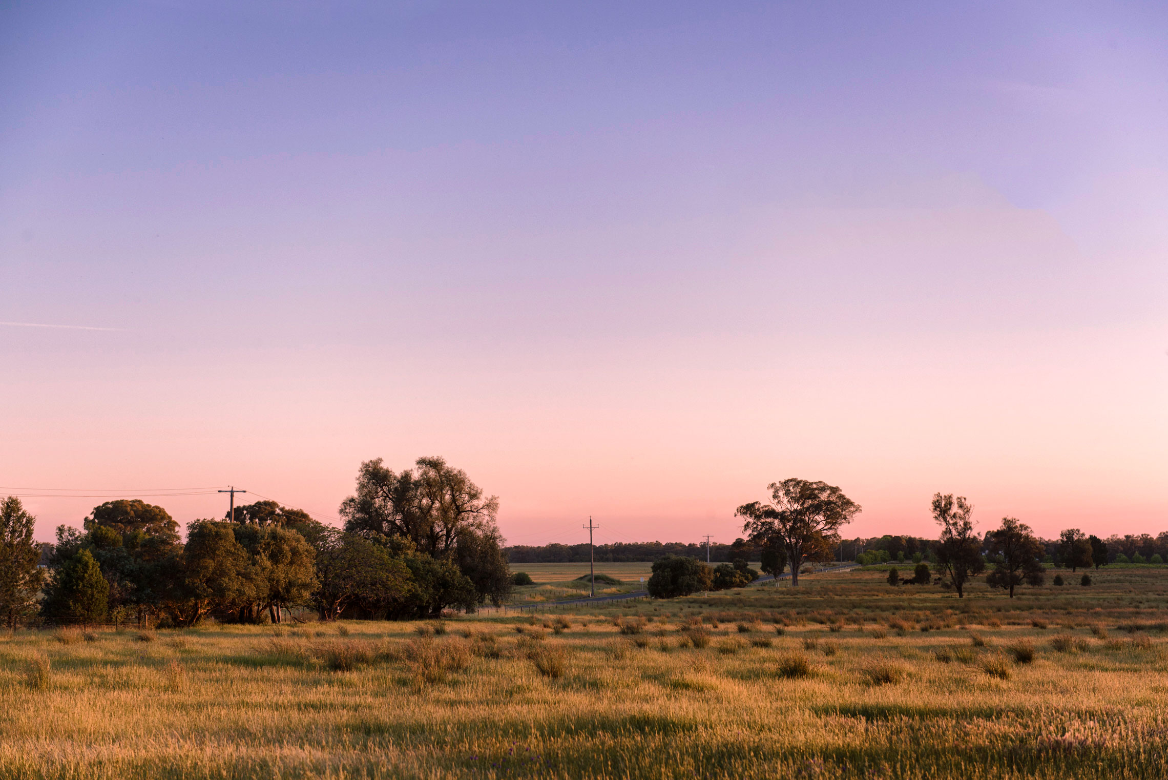 Sunset, Rutherglen, Victoria