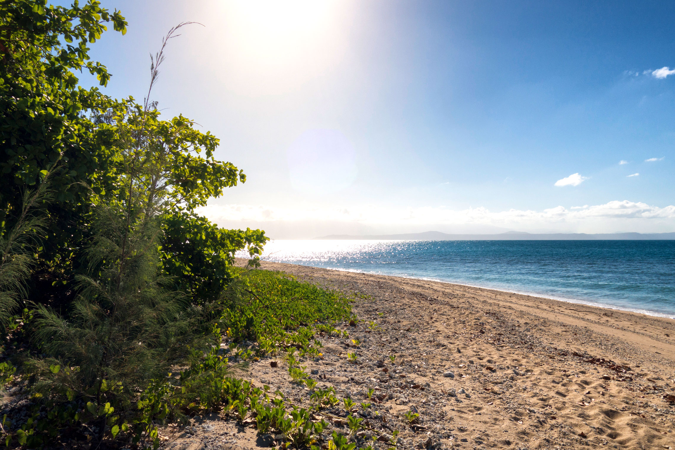 Great Barrier Reef, Low Isles