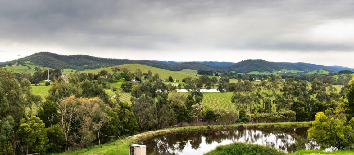 Yarra Valley, Miller's Dixon Creek Estate, View