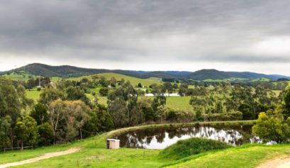 Yarra Valley, Miller's Dixon Creek Estate, View