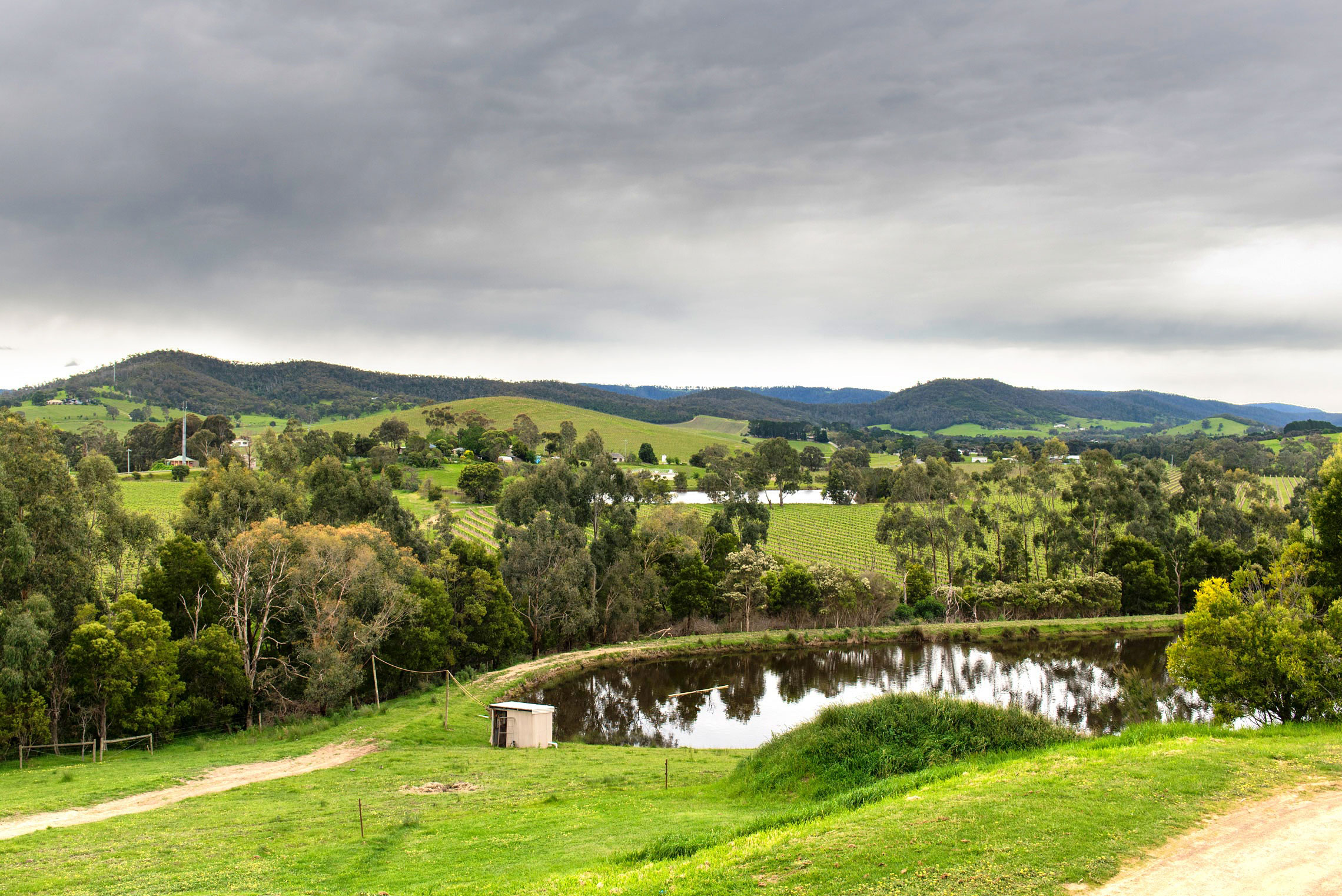 Yarra Valley, Miller's Dixon Creek Estate, View