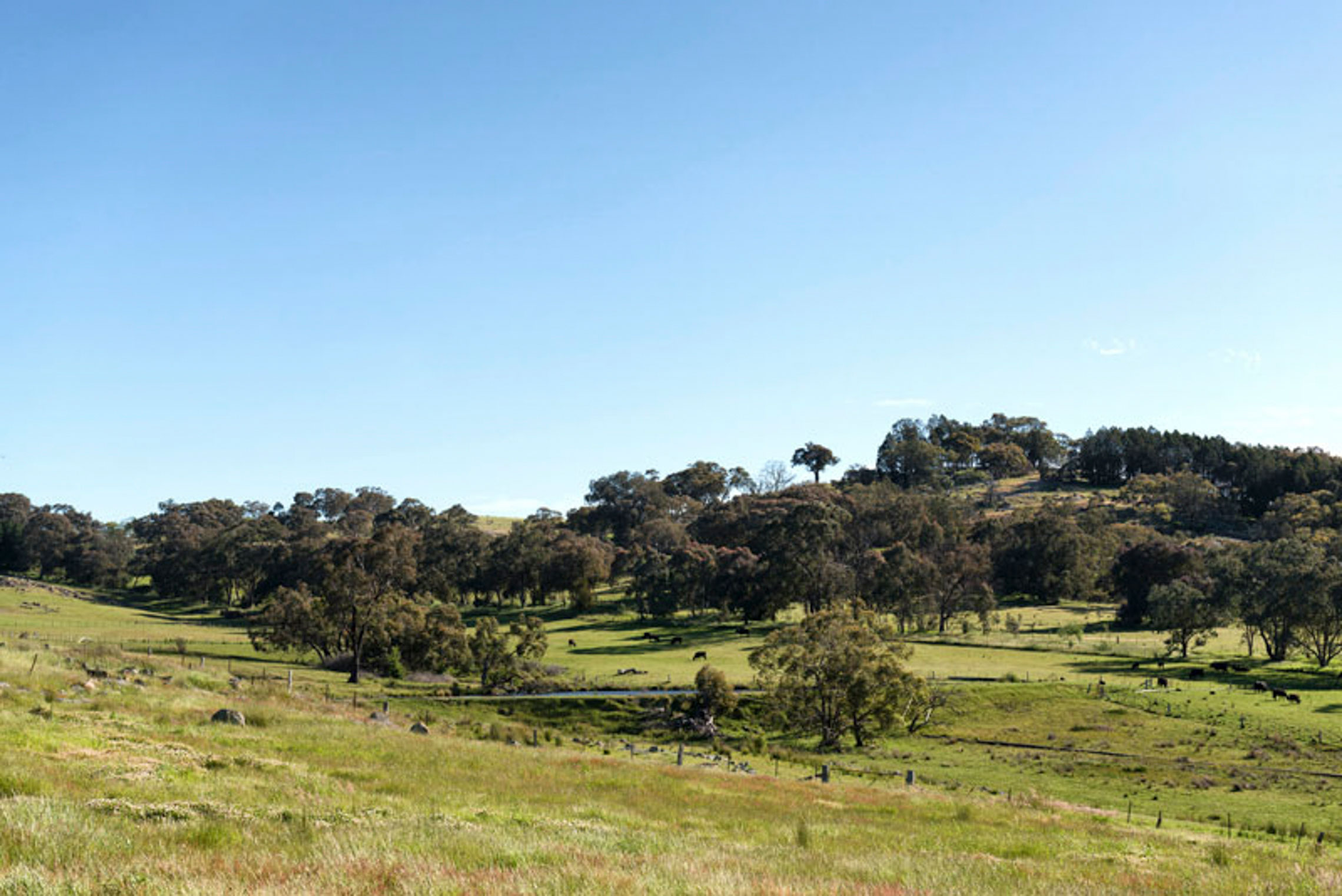 Beechworth Countryside