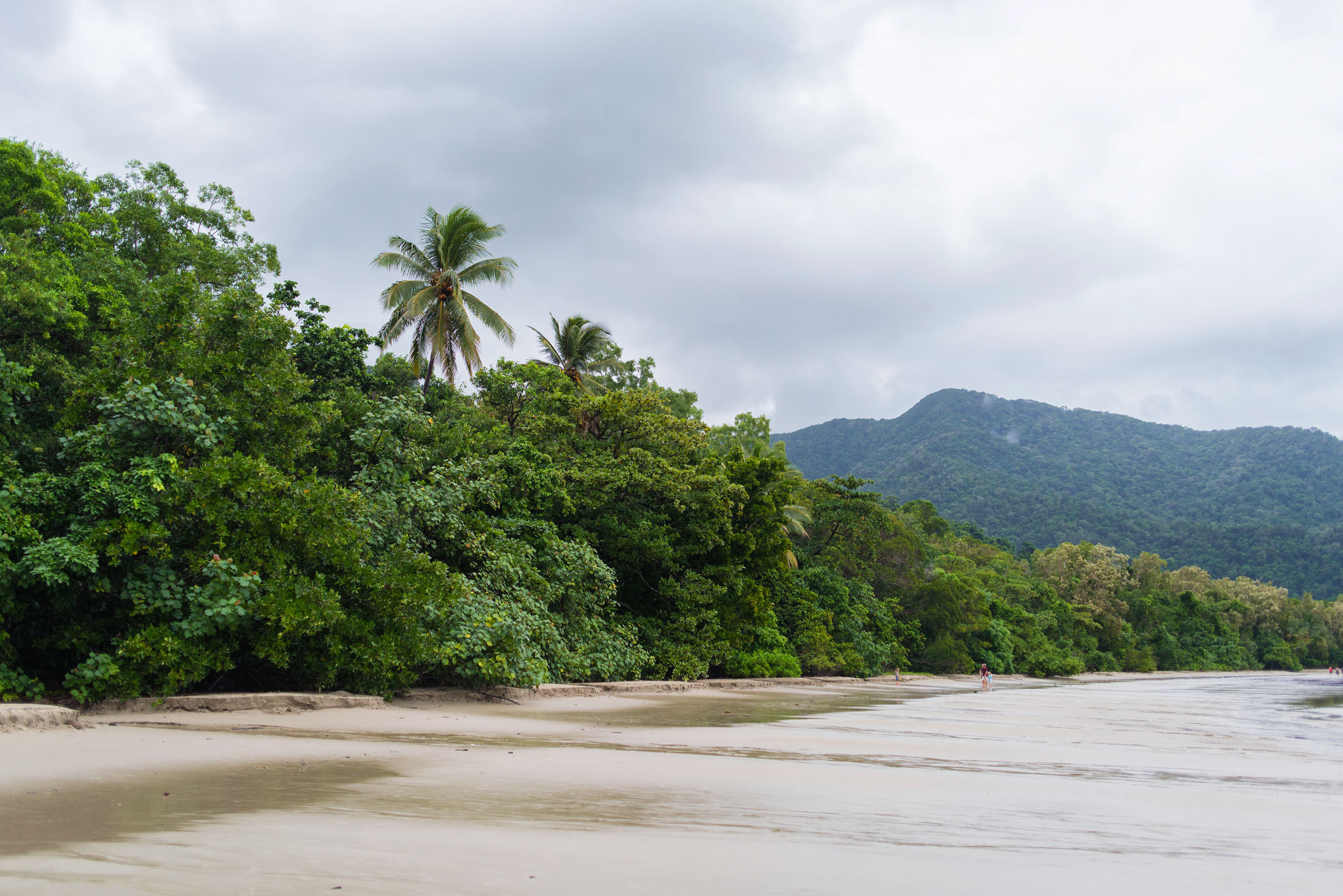 Cape Tribulation, Australia