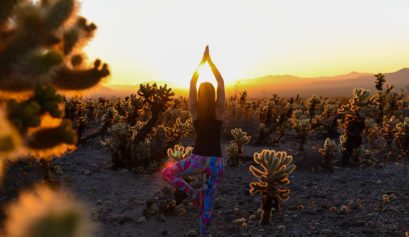 Sunrise at Cholla Cactus Garden, Joshua Tree National Park