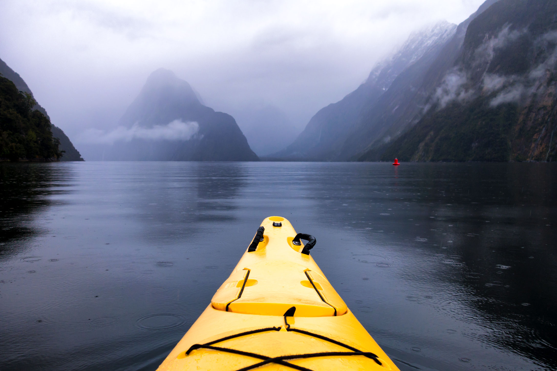 Kayaking in Milford Sound, New Zealand