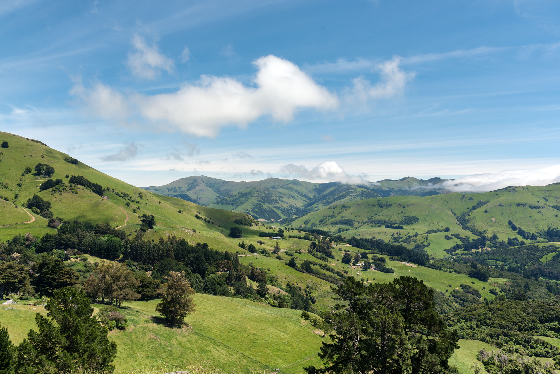 Banks Peninsula, New Zealand