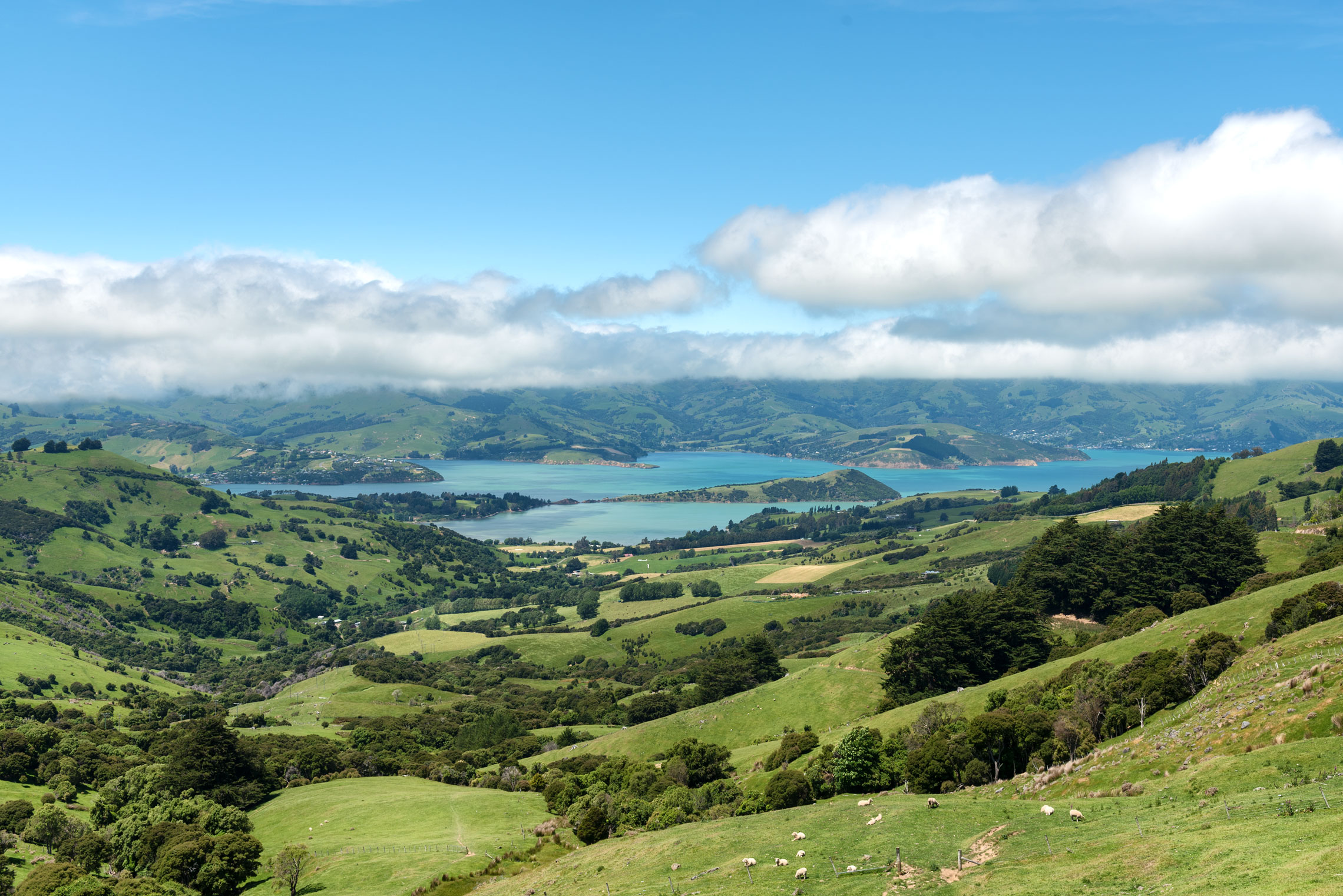 Banks Peninsula, New Zealand