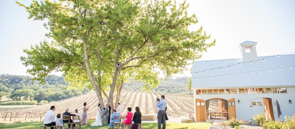 Pros and Cons of a Destination Wedding. California vineyard photo.