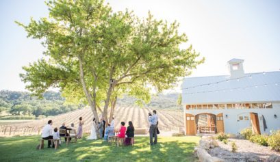 Pros and Cons of a Destination Wedding. California vineyard photo.