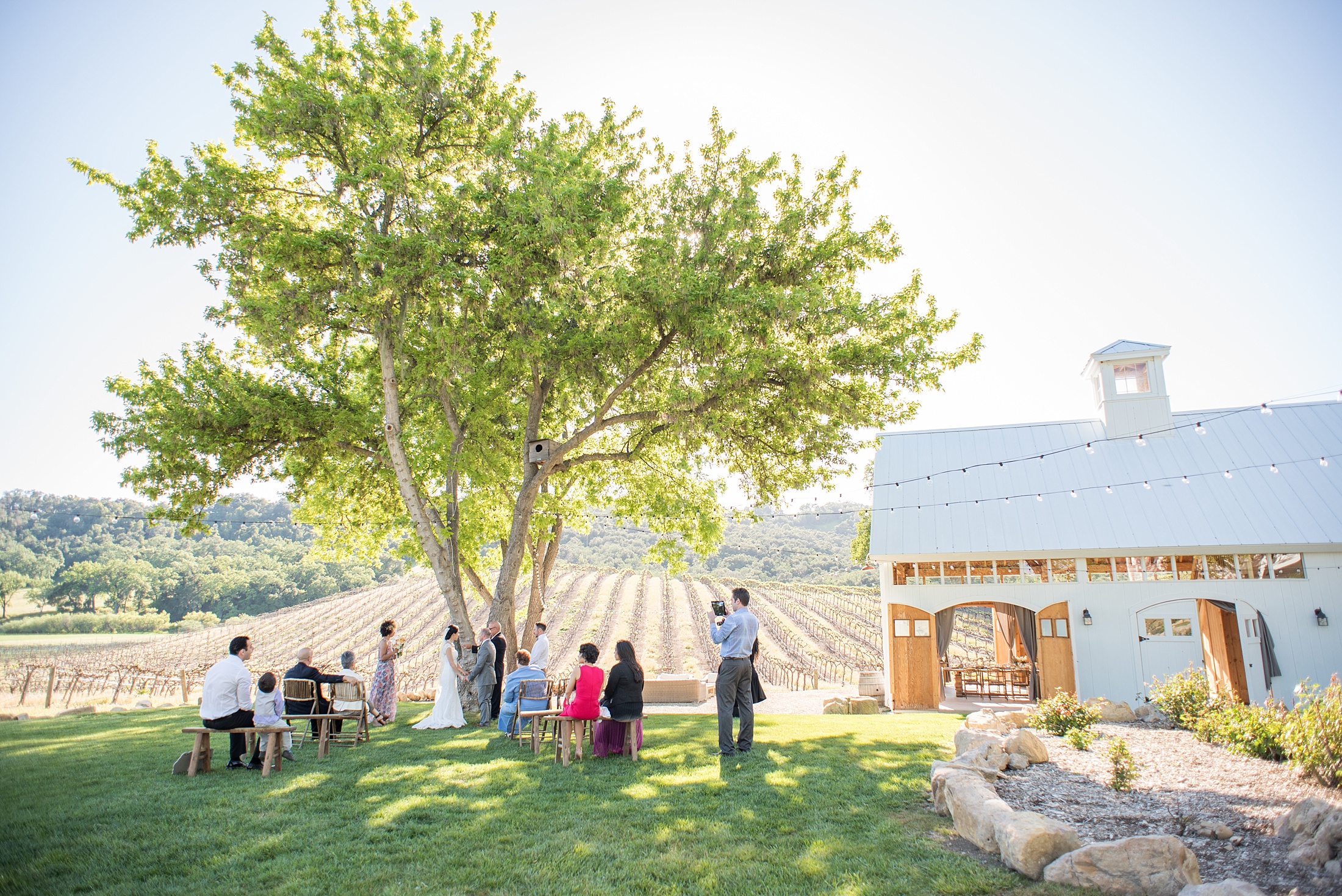 Pros and Cons of a Destination Wedding. California vineyard photo.