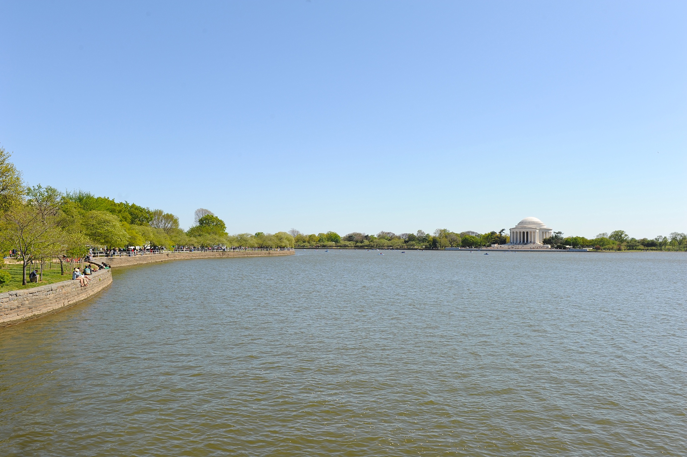 How to Spend One Perfect Day in Washington, DC with a photo at the Tidal Basin with Cherry Blossoms.