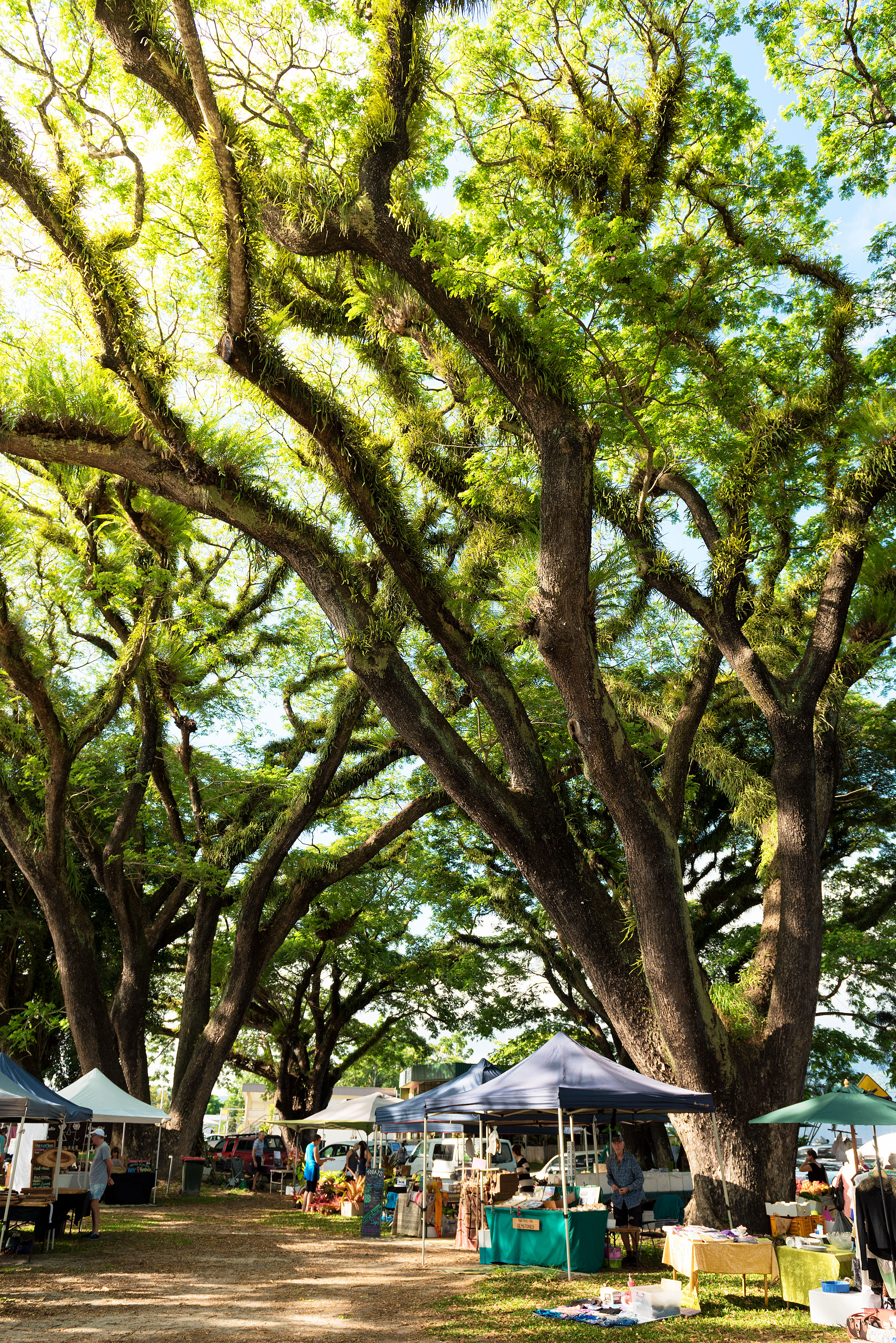 Far North Queensland Bucket List, Mossman Markets