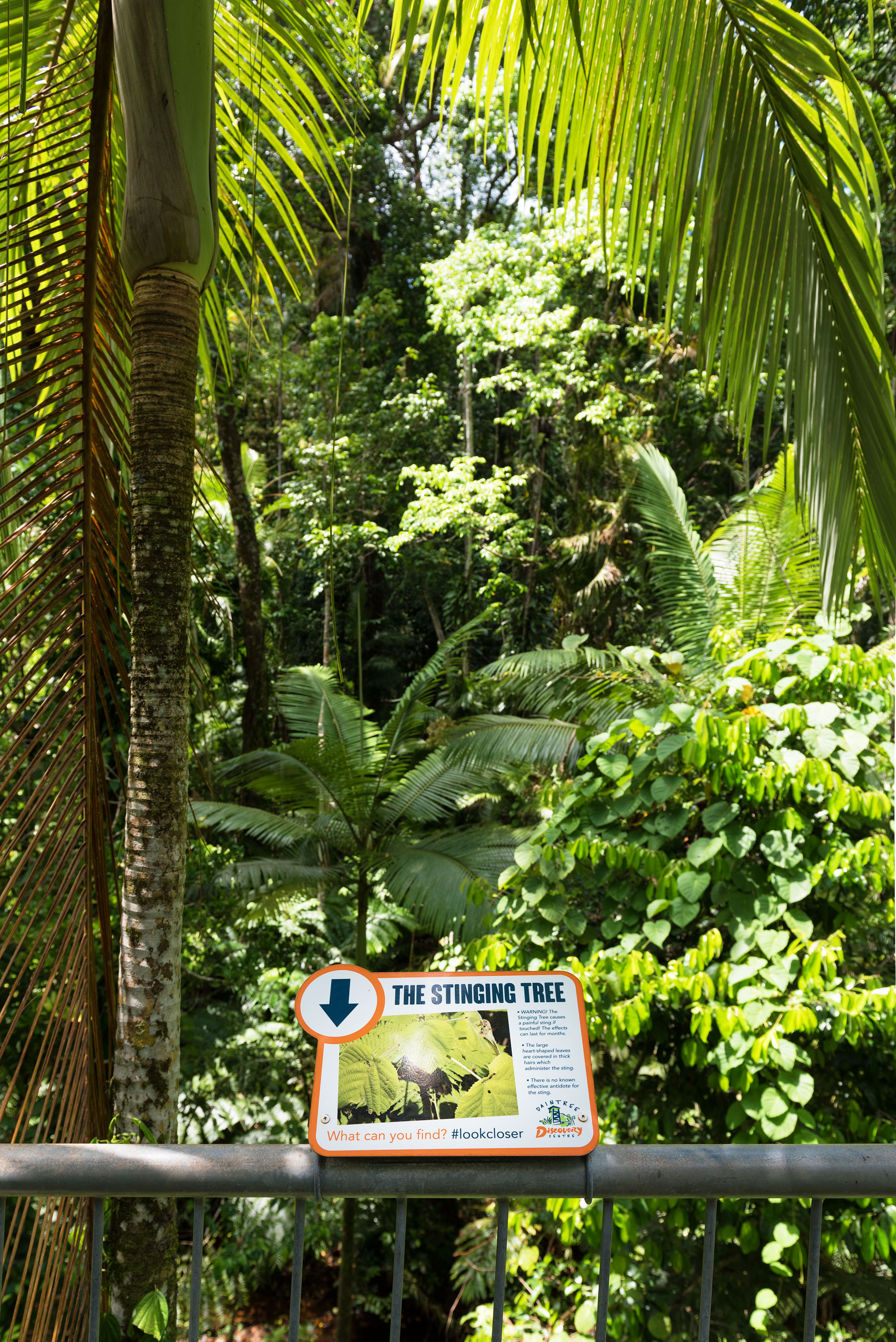 Far North Queensland Bucket List, Daintree Discovery Centre