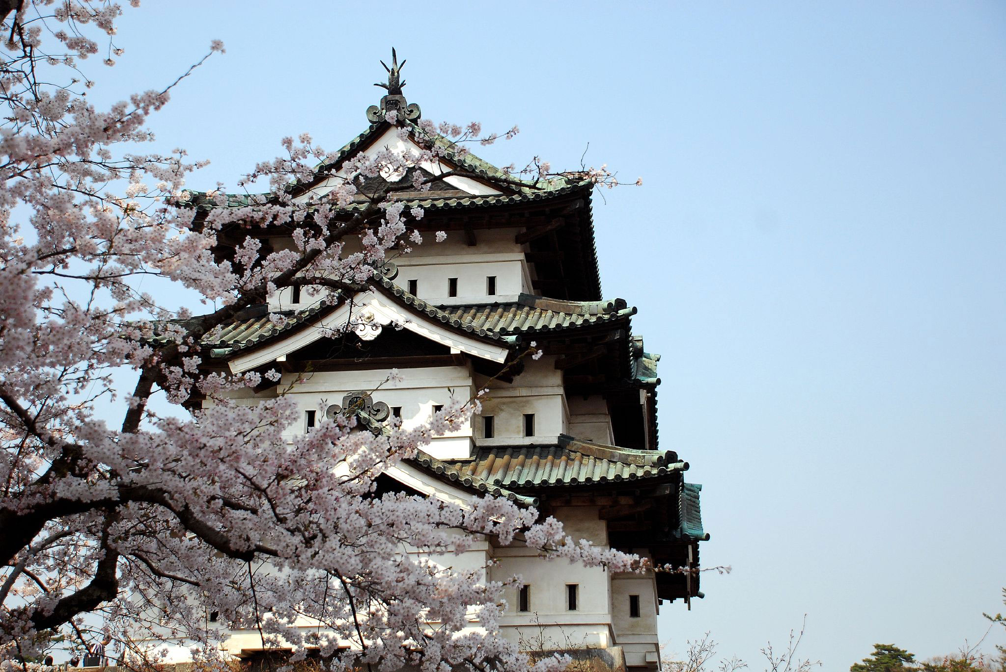 Best of Japan in Spring, Hirosaki Castle