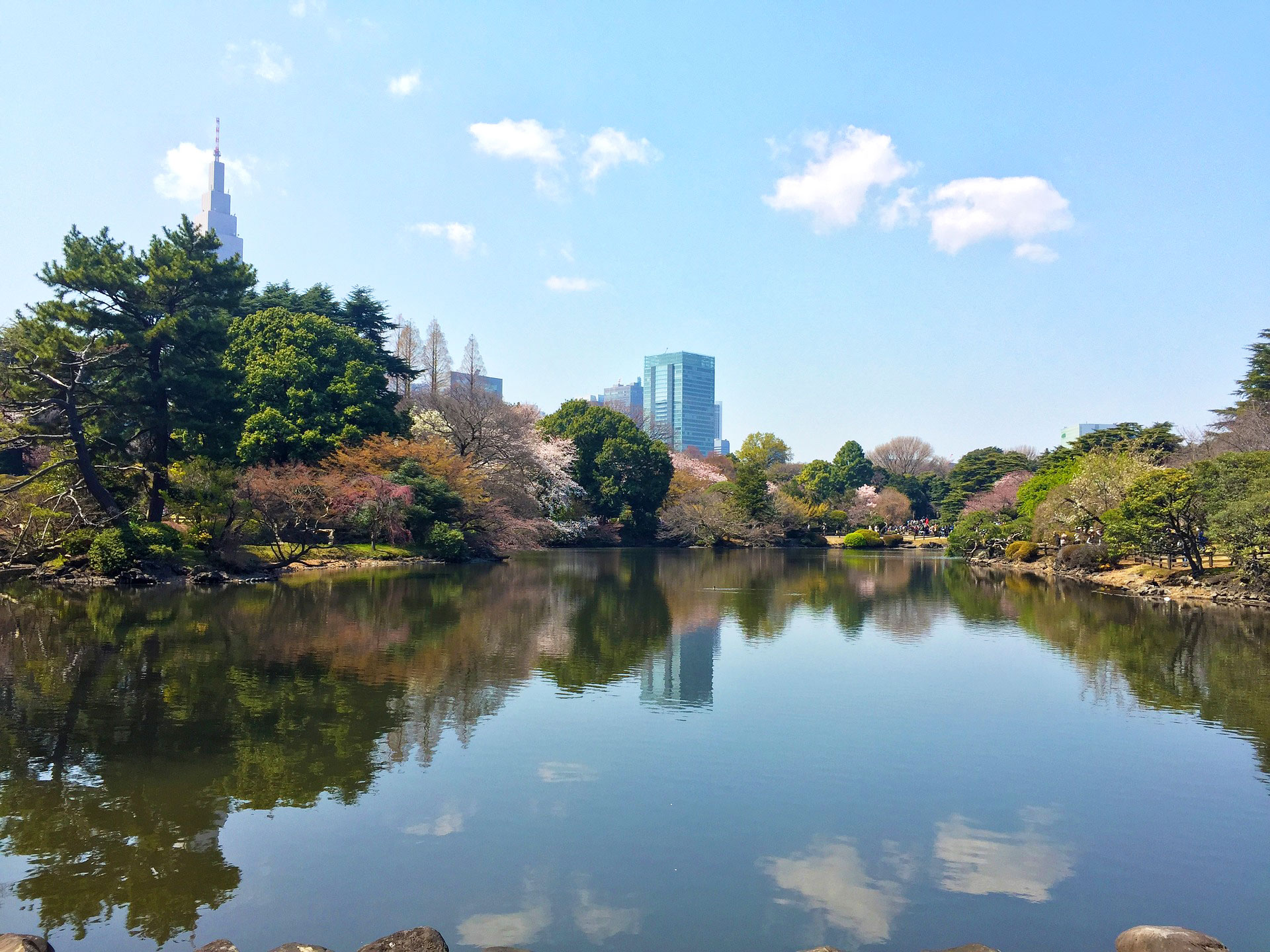 The Best of Japan in Spring, Shinjuku Gyoen