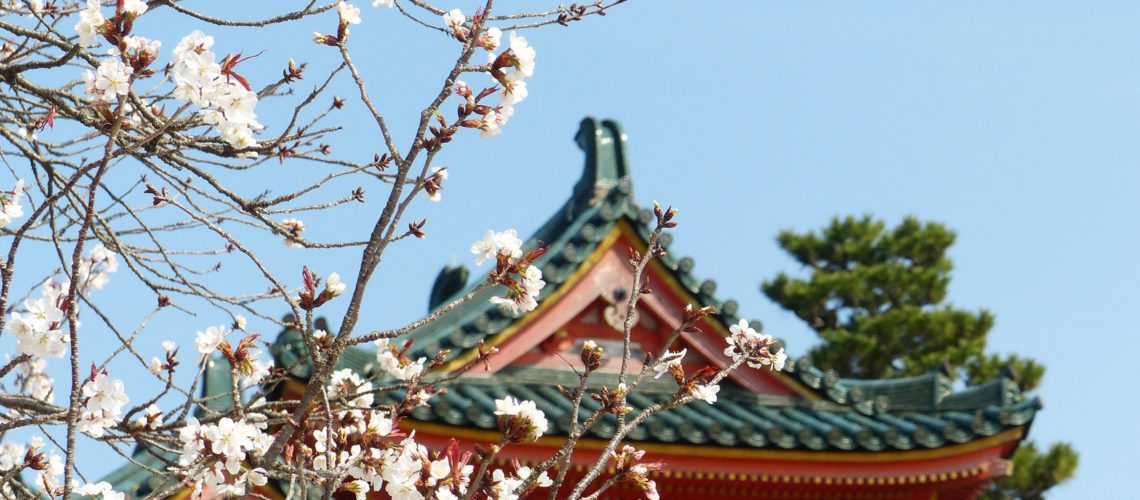 Things to Do in Japan in Spring