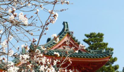 Things to Do in Japan in Spring