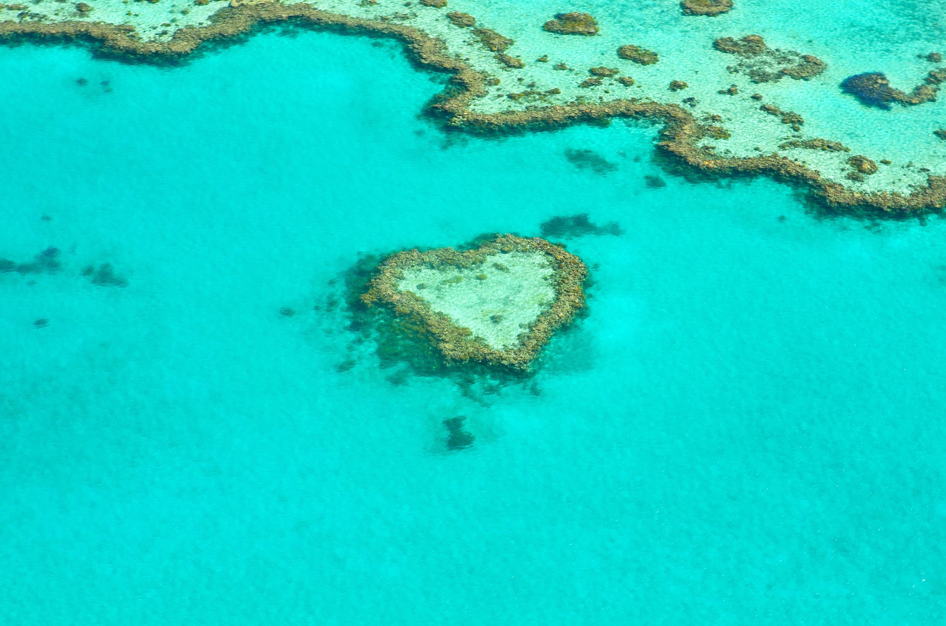 A Local's Guide to the Whitsunday Islands, Great barrier Reef