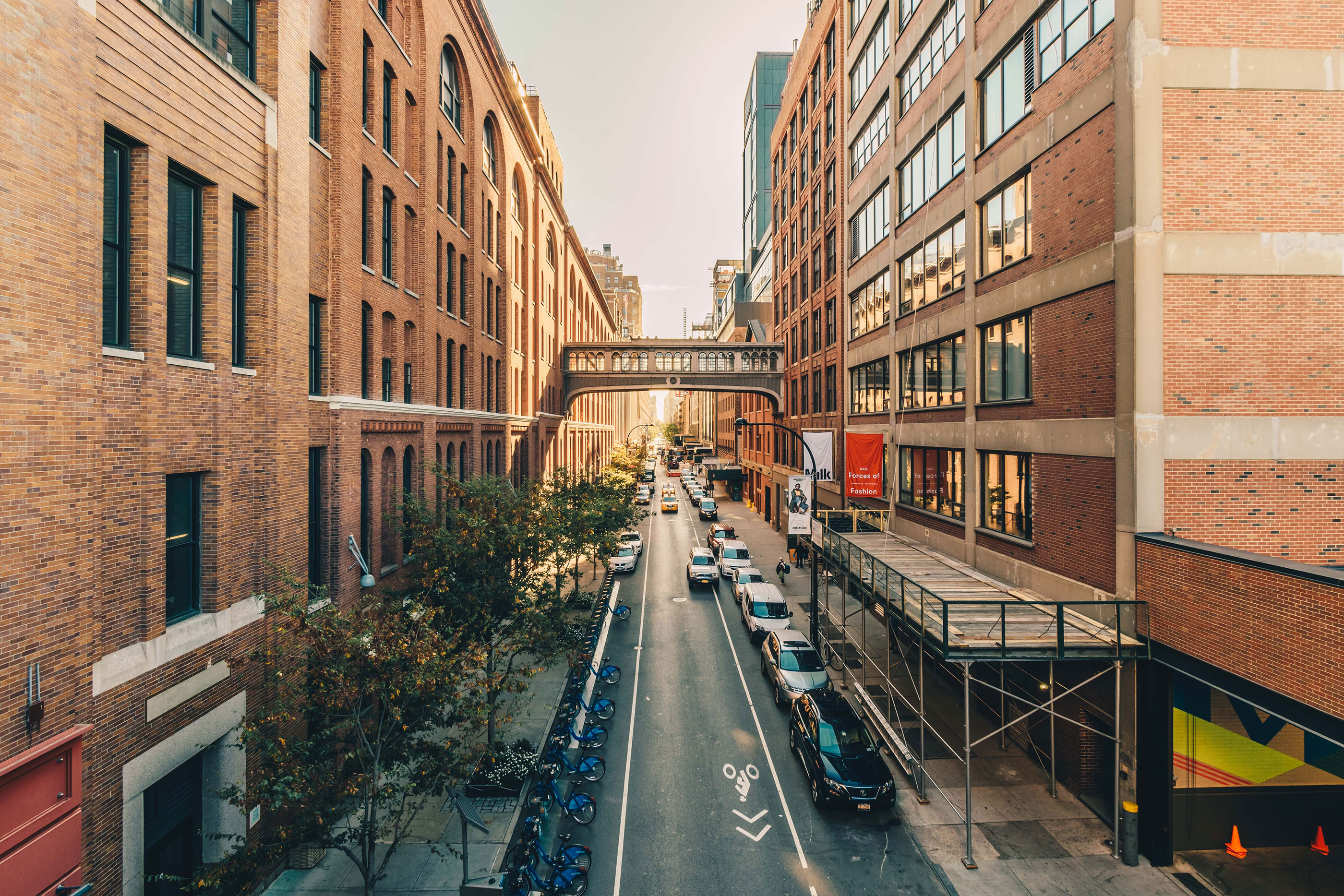 things you should do on your new york city honeymoon, highline